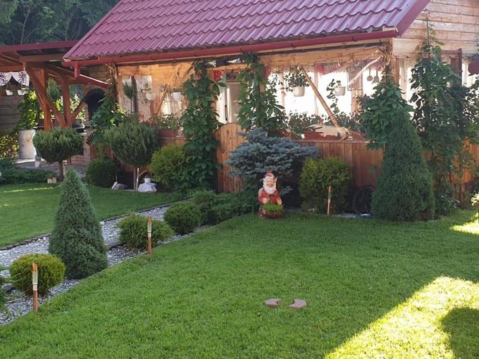 Pensiunea Gianina Arieşeni Eksteriør billede